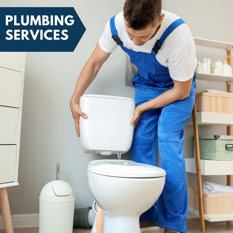 Plumbing Company in Tower Hill, IL